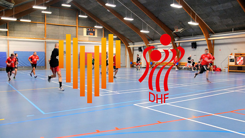 DHF anerkender frivillige i håndbold-Danmark